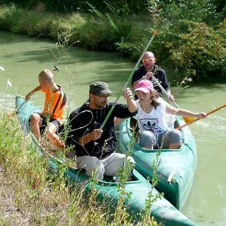 Mobil-home 4 Pers Avec Terrasse A - Api-1-52-574 Chaille-Les-Marais