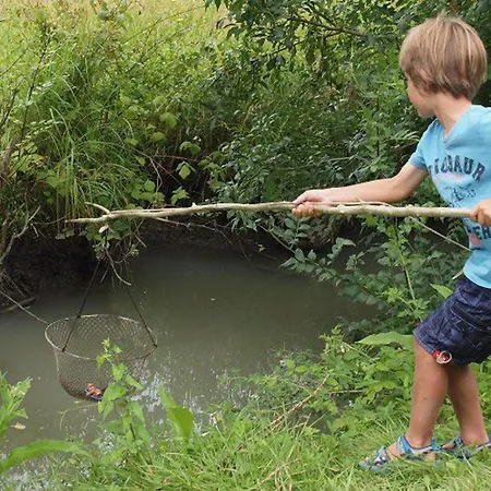 营地 Mobil-home 4 Pers Avec Terrasse A - Api-1-52-574