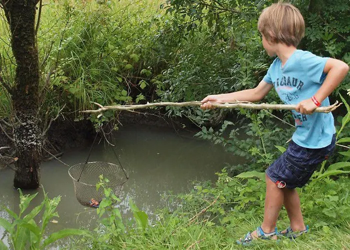 Kamp alanı Mobil-home 4 Pers Avec Terrasse A - Api-1-52-574